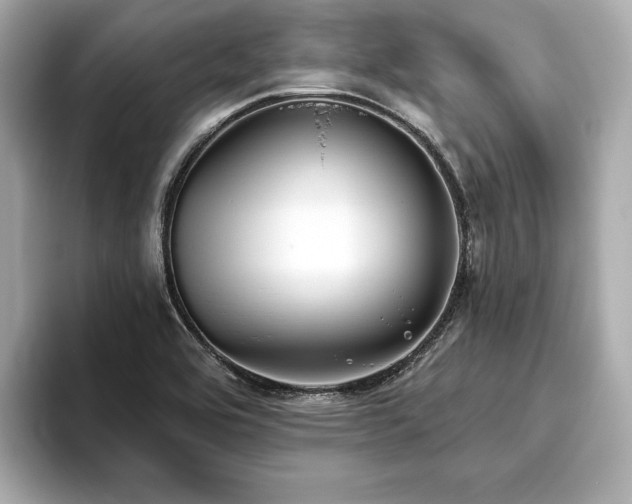 X0000093621464200710151251