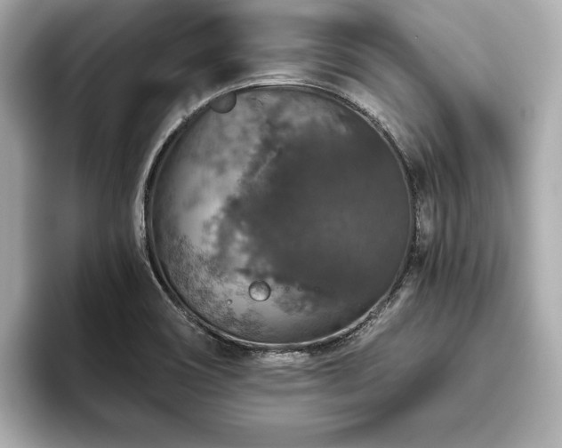 X0000093621466200710151251