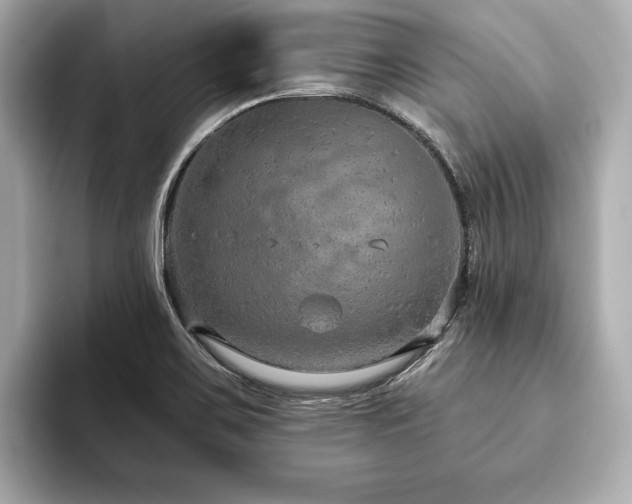 X0000093621467200710151251