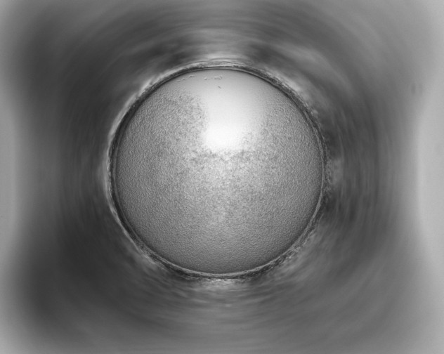 X0000093621470200710151251