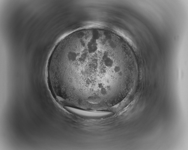 X0000093621471200710151251