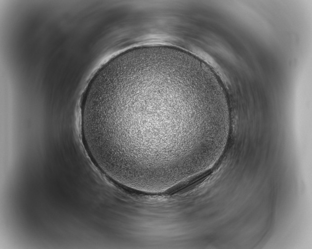 X0000093621472200710151251