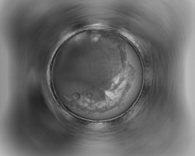 X0000093621474200710151251