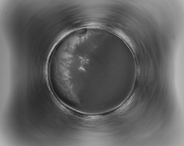 X0000093621482200710151251
