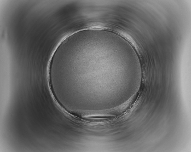 X0000093621483200710151251