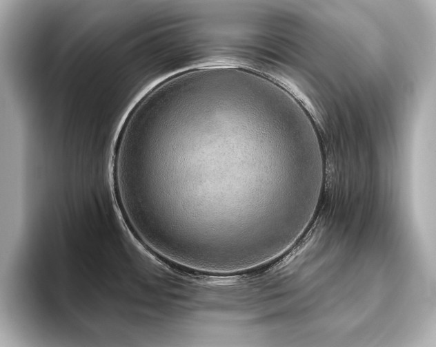 X0000093621484200710151251