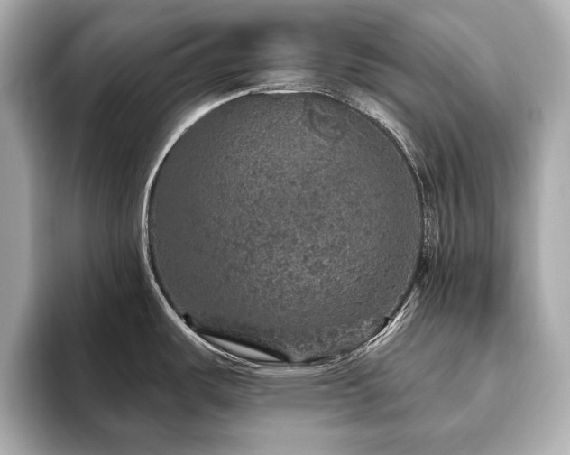 X0000093621487200710151251