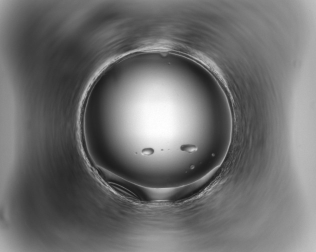 X0000093621488200710151251