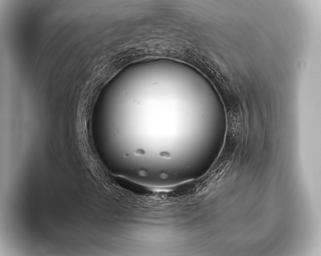 X0000093621489200710151250