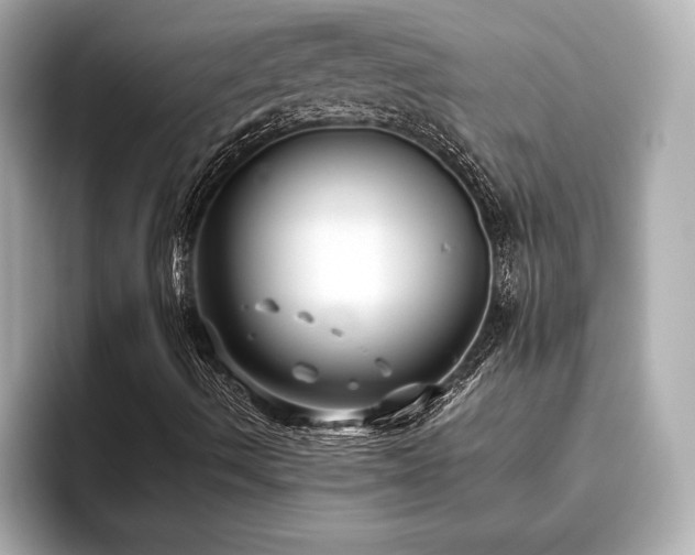 X0000093621490200710151251