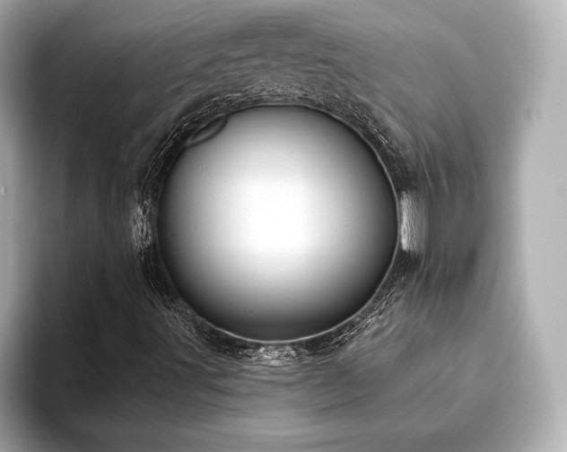 X0000093621491200710151251