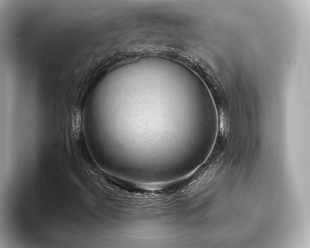 X0000093621492200710151251