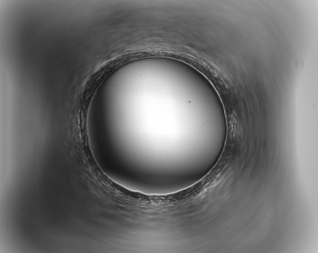 X0000093621494200710151251