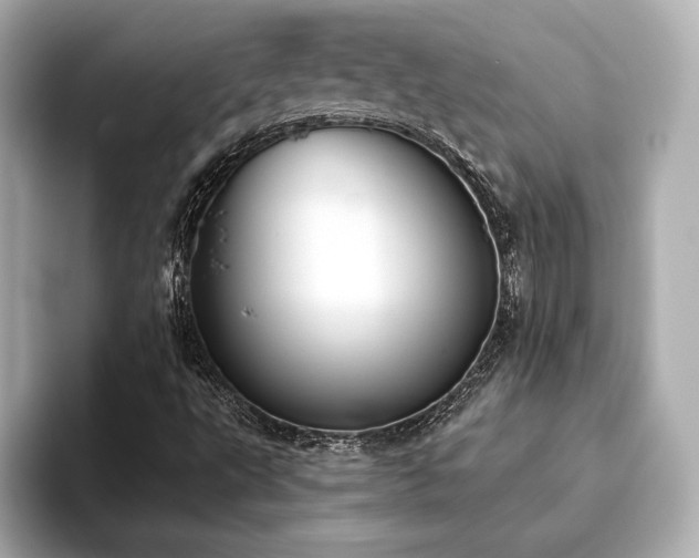 X0000093621495200710151251