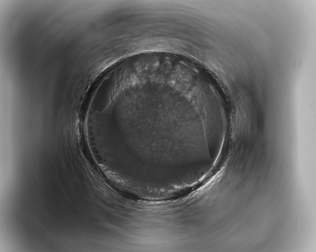 X0000093621497200710151251