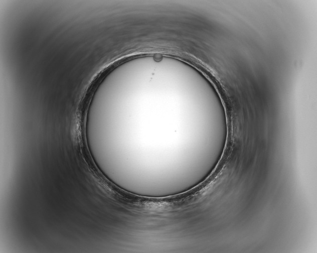 X0000093621498200710151251