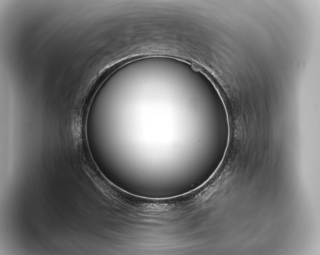 X0000093621499200710151251