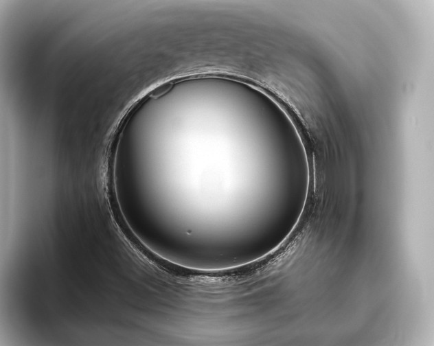 X0000093621500200710151251