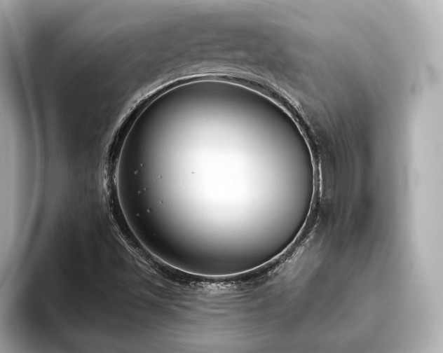 X0000093621501200710151251