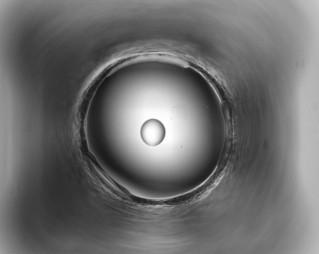 X0000093621502200710151251