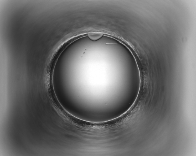 X0000093621503200710151251