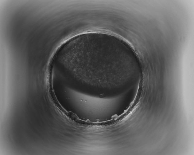 X0000093621506200710151251