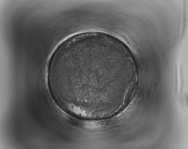 X0000093621508200710151251