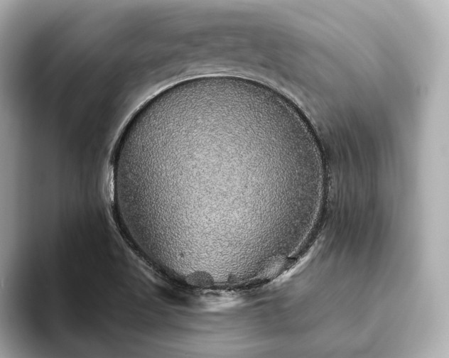 X0000093621509200710151251