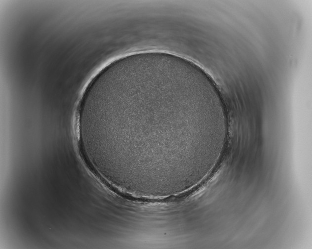 X0000093621510200710151251
