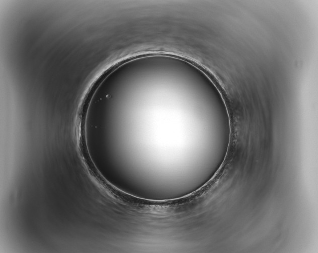 X0000093621511200710151251