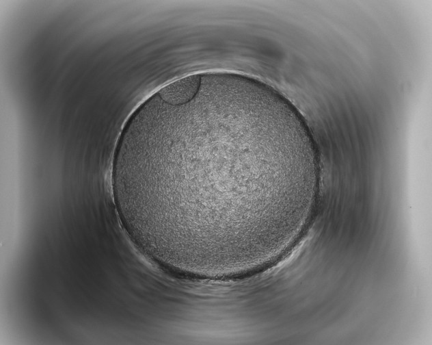 X0000093621513200710151251