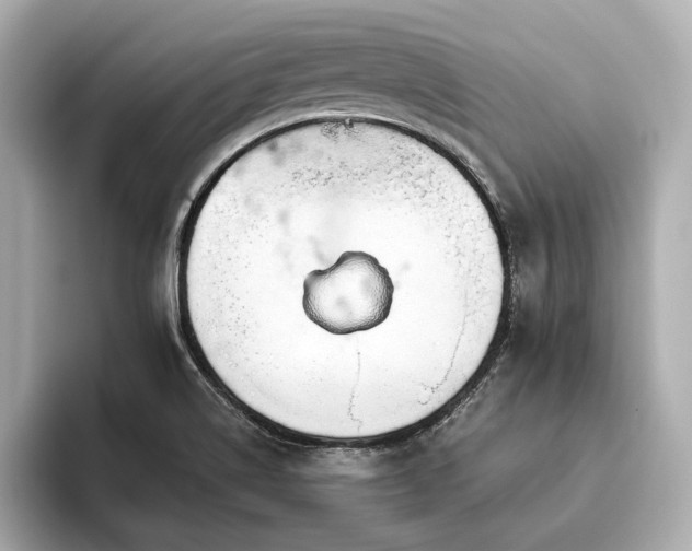 X0000093621514200710151251