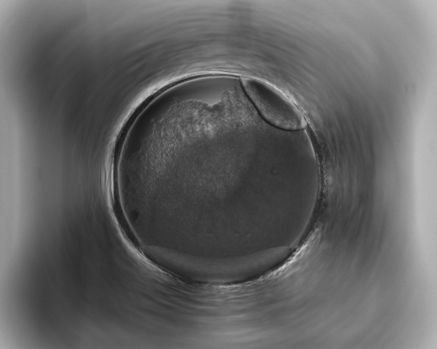 X0000093621515200710151251