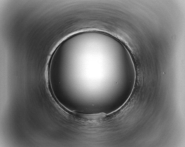 X0000093621516200710151251