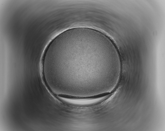 X0000093621517200710151251
