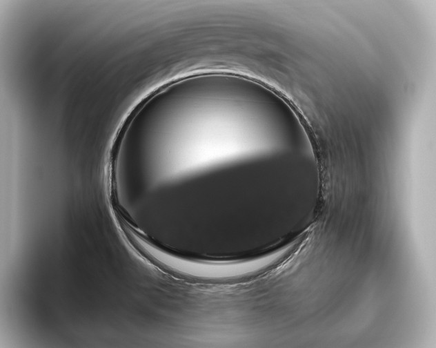 X0000093621519200710151251