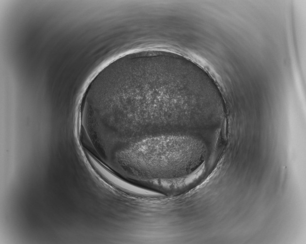 X0000093621520200710151251