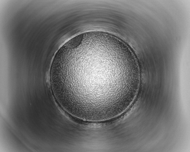 X0000093621521200710151251