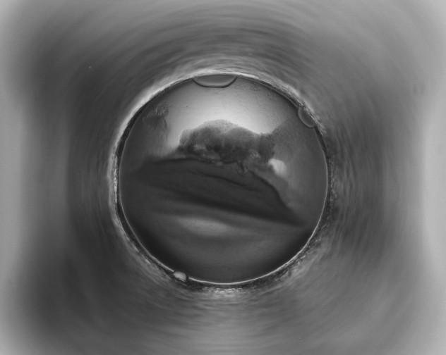 X0000093621522200710151251