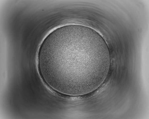 X0000093621523200710151251