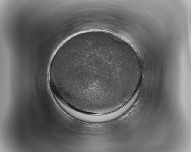 X0000093621524200710151251