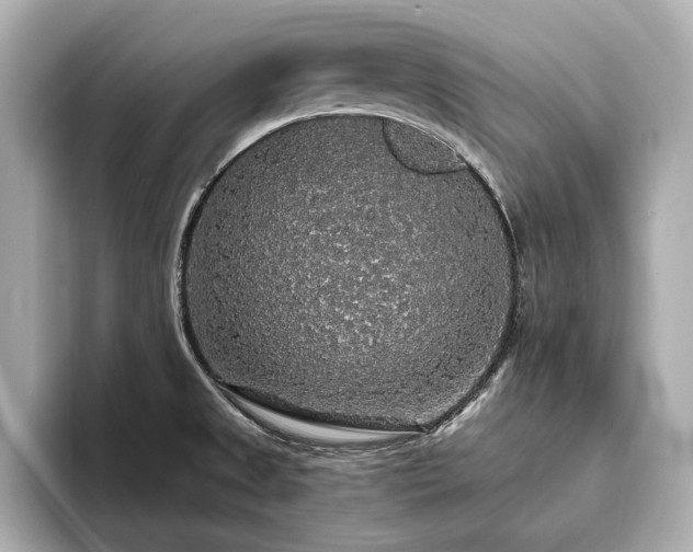X0000093621525200710151251