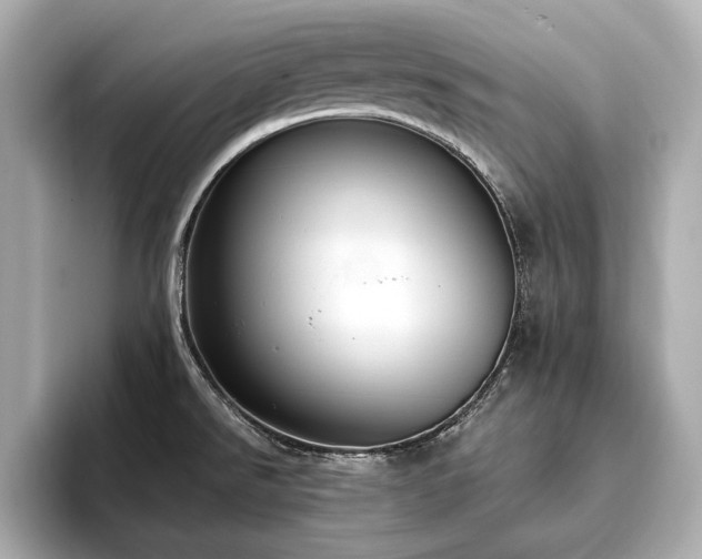X0000093621526200710151251