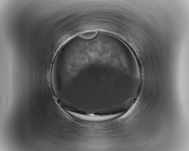 X0000093621529200710151251