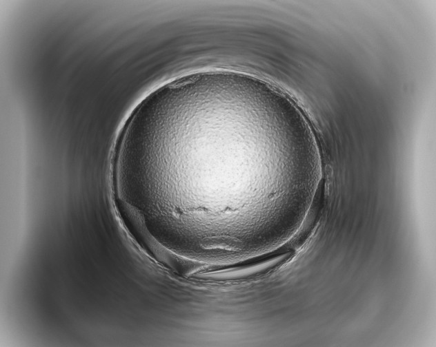 X0000093621530200710151251