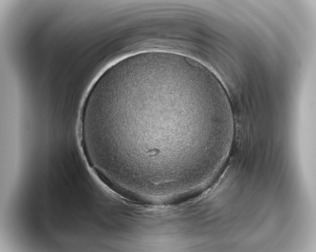X0000093621531200710151251