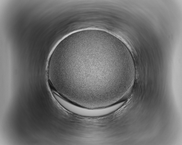 X0000093621532200710151251
