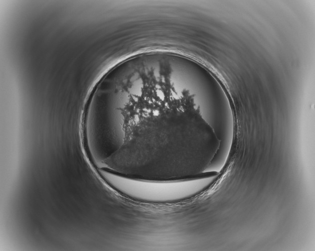 X0000093621533200710151251
