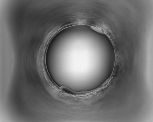 X0000093620001200710221555