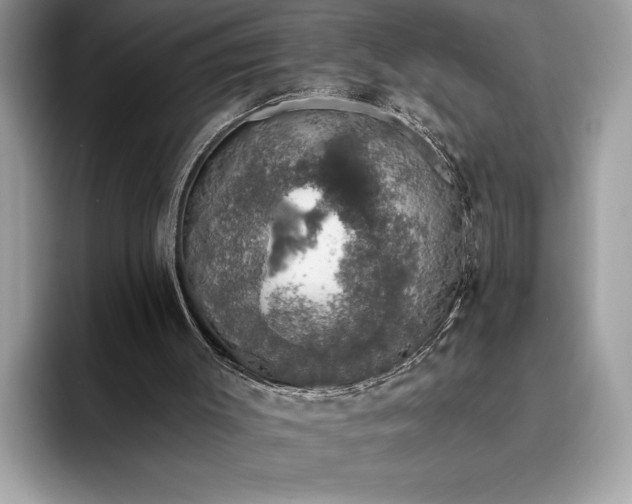 X0000093620003200710221555